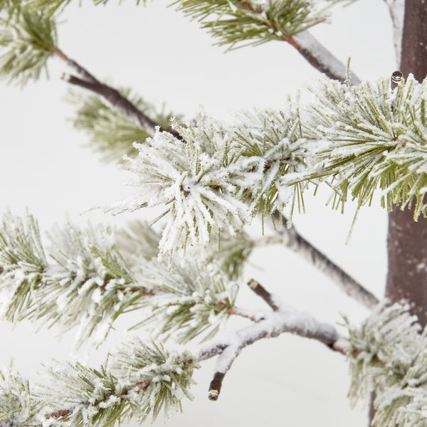 24" Lighted Snowy Pine Tree