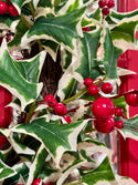 Pacific Northwest Variegated Holly with Berry Wreath