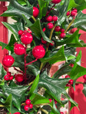 Pacific Northwest Holly with Berry Wreath
