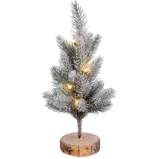 Lighted Small Pine Tree