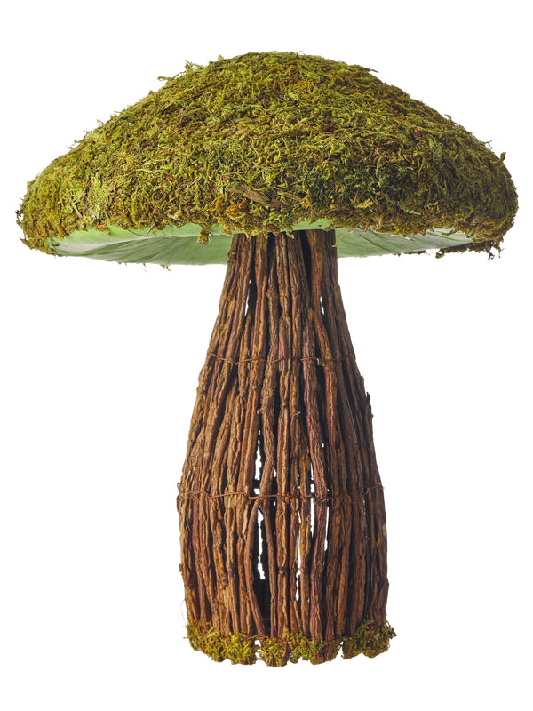 Moss Twig Mushroom